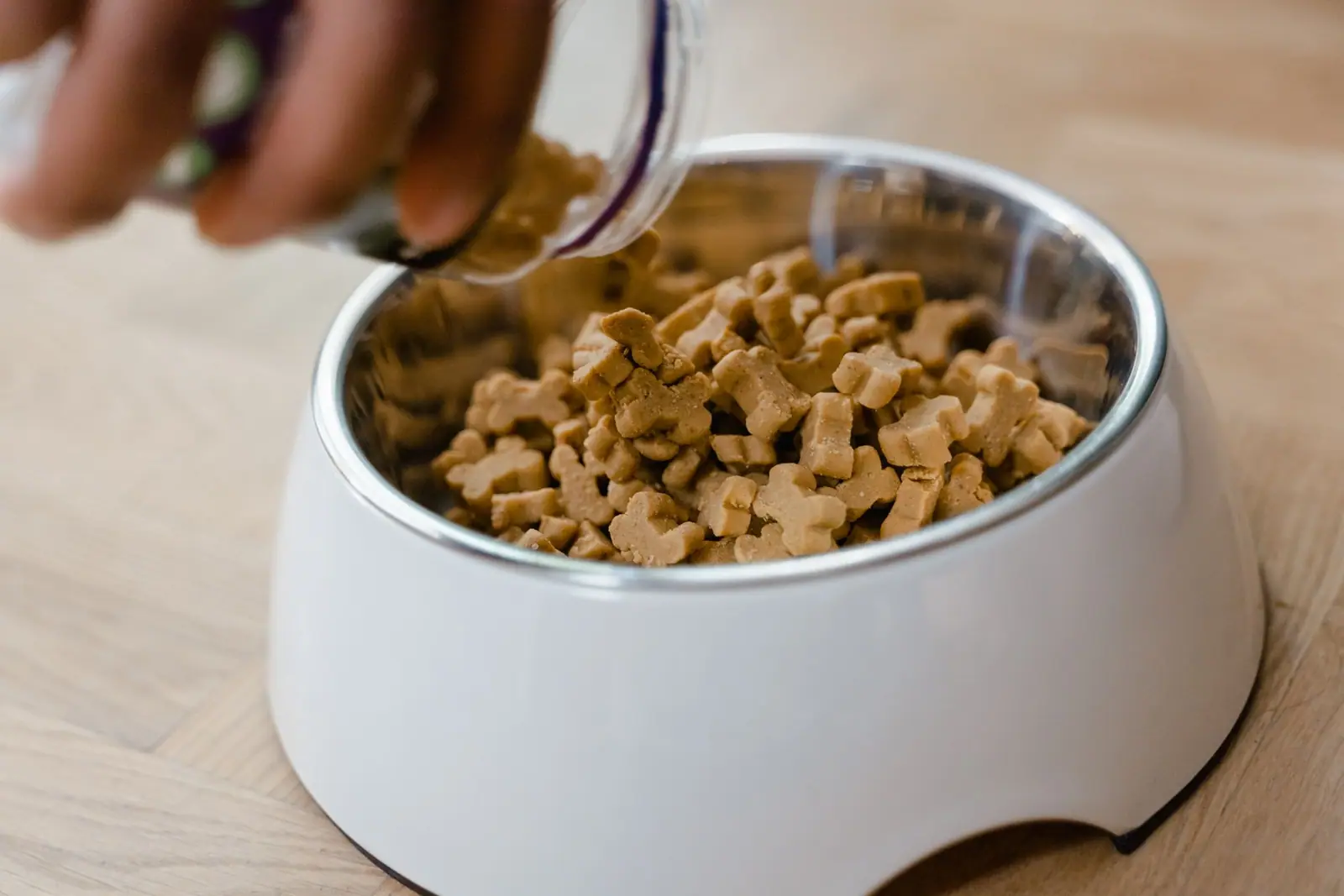 Dry dog food being poured from a container into a white bowl